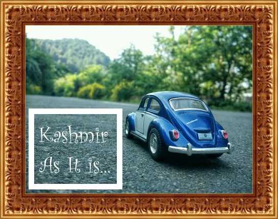 Kashmir, As It Is.