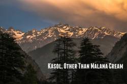 Kasol Diaries - If You\