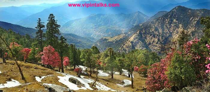 Kausani - Switzerland Of India