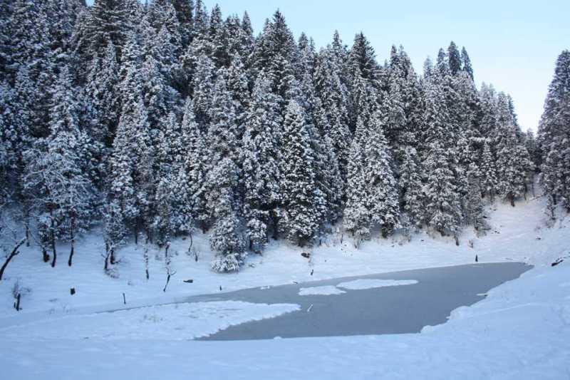 Kedarkantha Trek Guide - Distance, Best Time - How To Reach? |