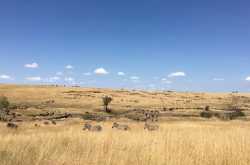 Kenyan adventure: The wild is calling
