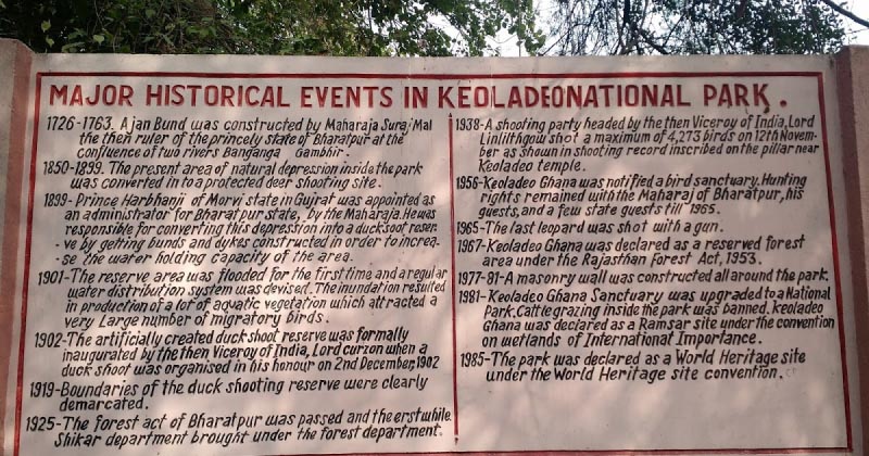 Keoladeo Bird Sanctuary, Bharatpur