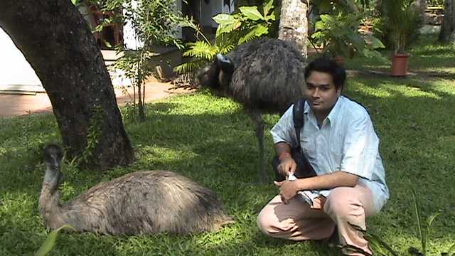 Kerala - A Bliss For Honeymoon Couples