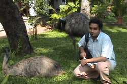 Kerala - A Bliss for honeymoon couples