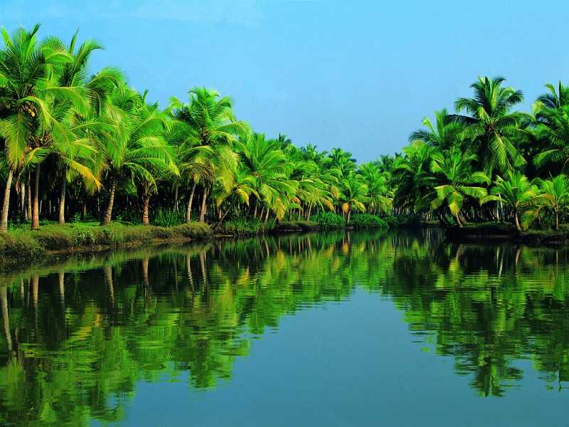 Kerala- An Epic Tale Of Braving Calamity, Resurrecting Resolve And Igniting Compassion ⋆ HobbyCue