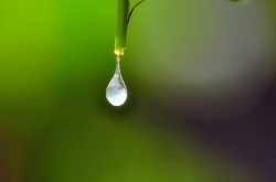 Kerala Monsoon - It\