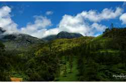 Kerala. ~ Photography | ഫോട്ടോഗ്രാഫി