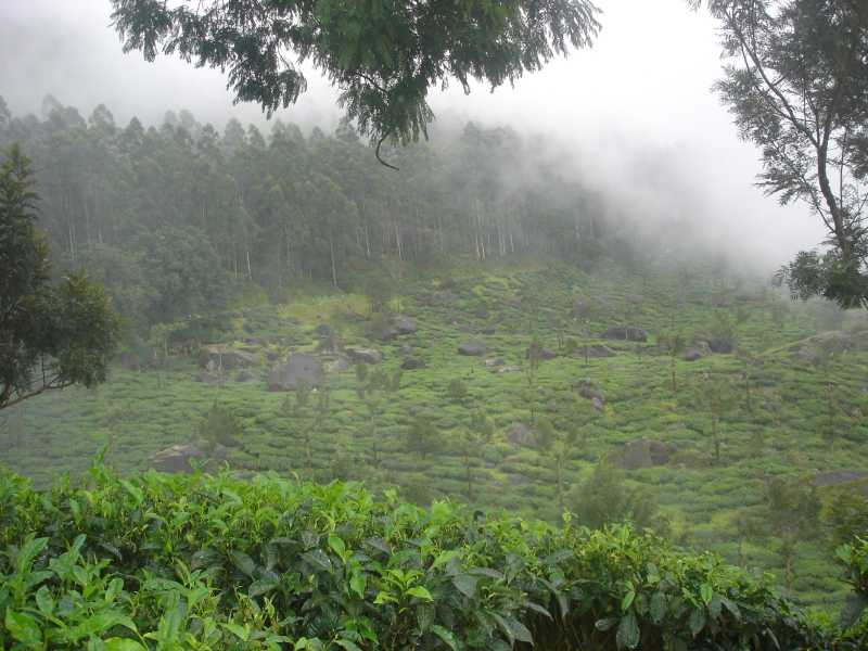 Kerala Photos | Kerala Pictures | Kerala Photo Gallery