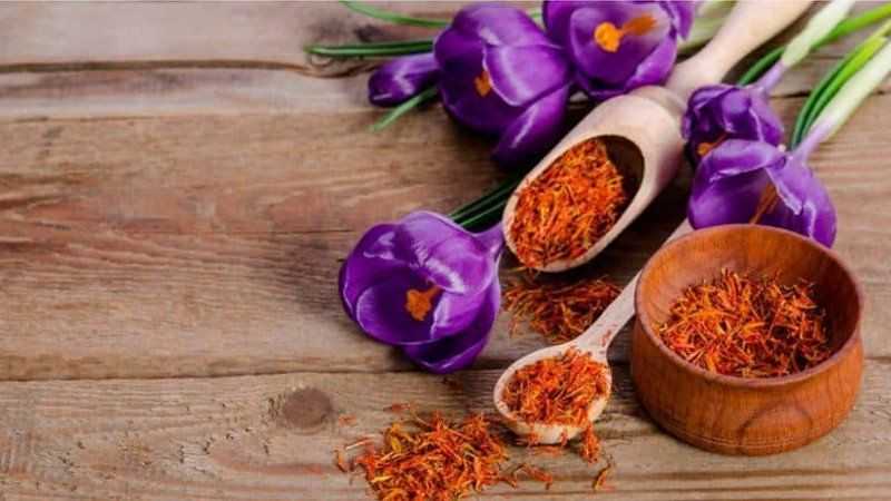 Kesar (Saffron) Nutrients Value, Health Benefits, Uses, Dose & Side Effects