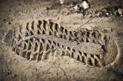 killers roam free without forensics