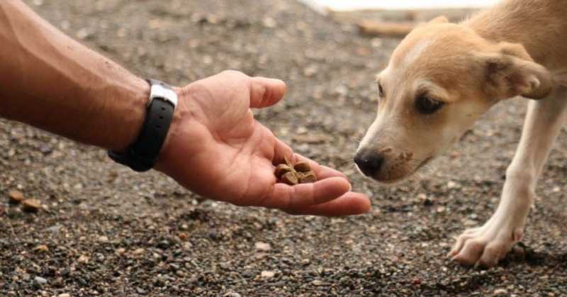 Killing The Demand! Saving Life, Ours And Theirs!