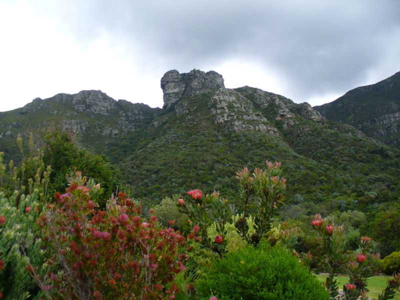 Kirstenbosch-Dream Of South Africa