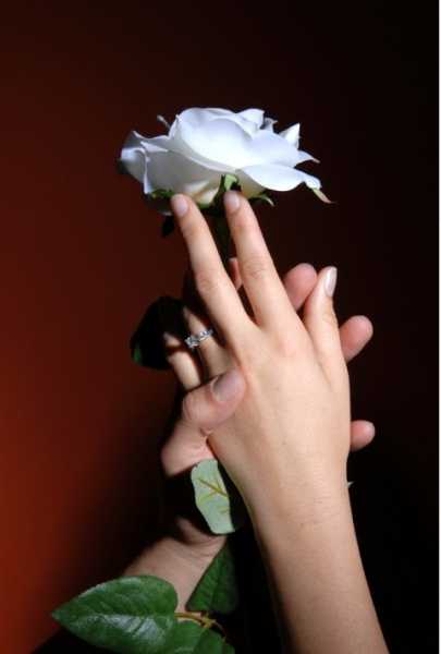 Kissing Goodbye Was Never So Exhilarating….