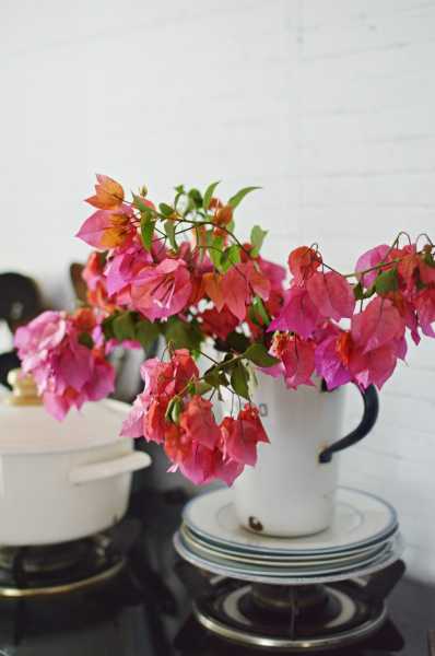 Kitchen Wooing Ideas That