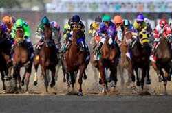 Know About Kentucky Derby Field - 2018 Kentucky Derby - Churchill downs