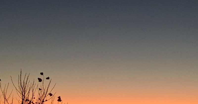 Know-it-all Or Understand-it-none: The New Age Digital Attention Span 