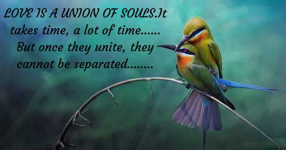 Know The True Meaning Of A Relationship.......It Is Important!!!