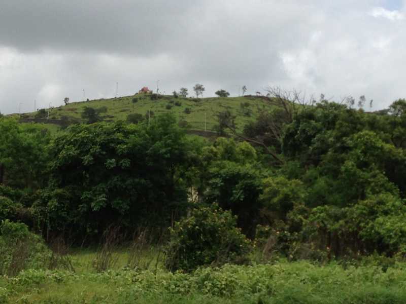 Know What I Did This Summer (II)