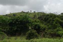 Know what I did this summer (II)