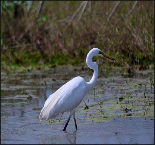 Knowing The Third…!!