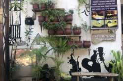 Kochi, my first visit to Kerala