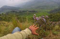 Kolukkumalai and Vattavada: must visit places in Munnar |