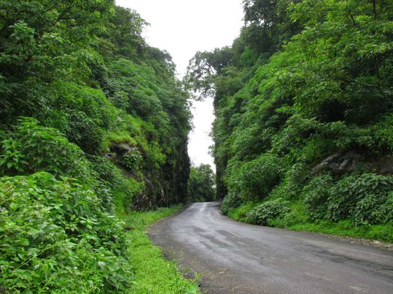 Koraigad - Lohagad Trek Contd...