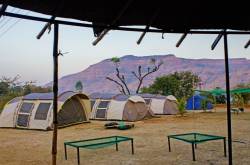 krishna river camp