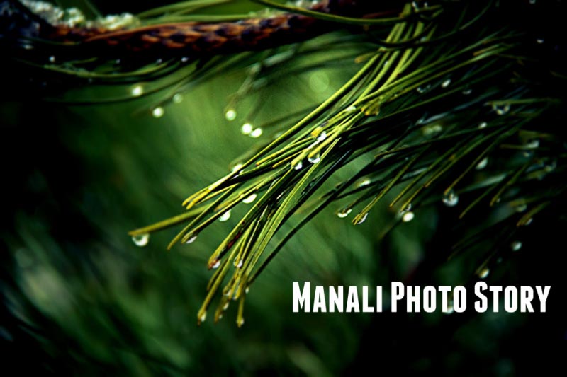 Kullu Manali Photos Itinerary And More