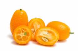 Kumquat: Benefits, Taste, Recipes, Season, Tree, Nutrition