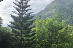 Kurumba! A paradise nestled in the Nilgiris, Tamil Nadu.