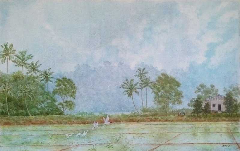 Kuttanad Series:  Acrylic Painting On Canvas - Busy Morning