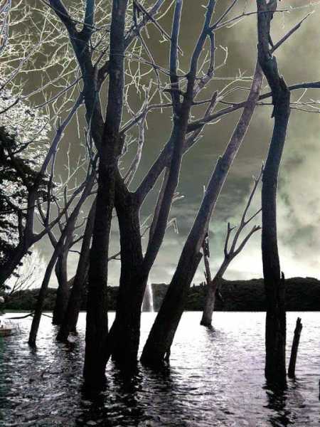 LAKSHMEE- A Short Story (Guest Post)