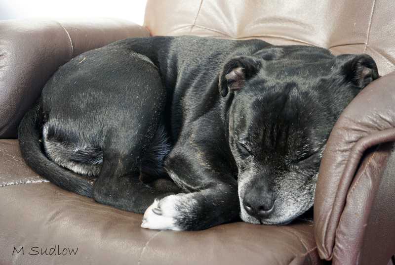 LAST NIGHT… - Kiwissoar