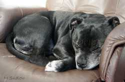 LAST NIGHT… - kiwissoar