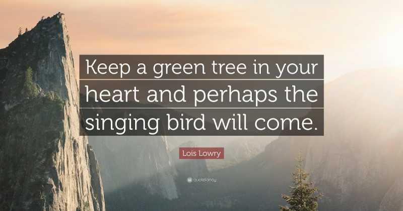 LET A TREE GROW IN YOUR HEART