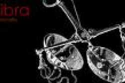 LIBRA LIKES & DISLIKES