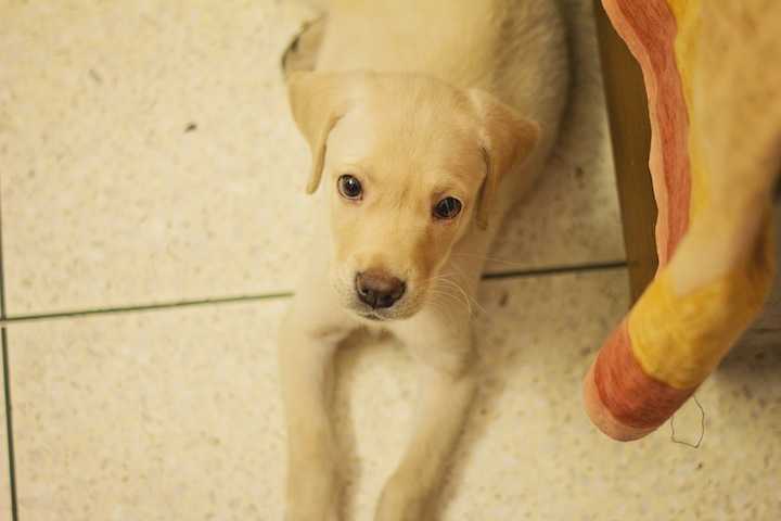 LIFE LATELY | CONCERTS, FOOD AND WANDERLUST