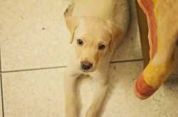 LIFE LATELY | CONCERTS, FOOD AND WANDERLUST