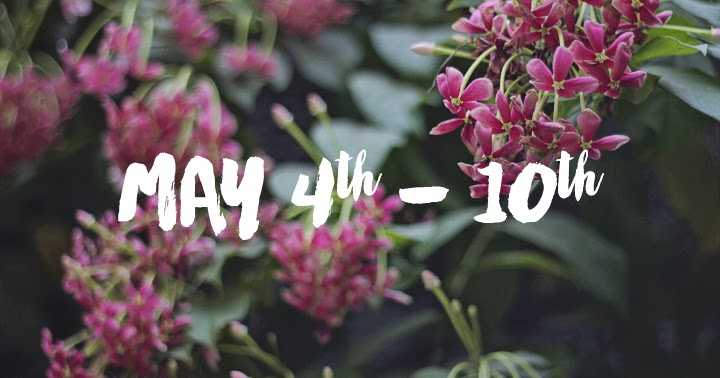 LIFE LATELY | Puppies, Movies And Awesome Mothers