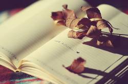 LLFs from GMCS batch 49