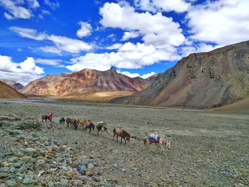 Ladakh: A Journey In Photos