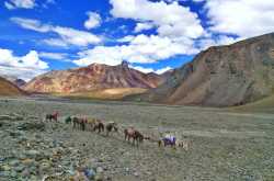 Ladakh: A Journey in Photos