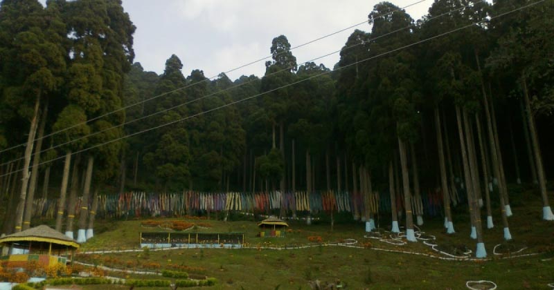 Lamahatta : The Countryside Of Darzeeling