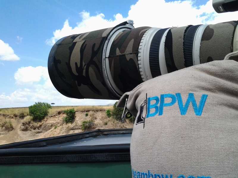 Land Of Trumpet, Roar, And Song: Wanderings In Wild India