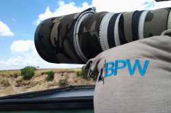 Land of Trumpet, Roar, and Song: Wanderings in Wild India