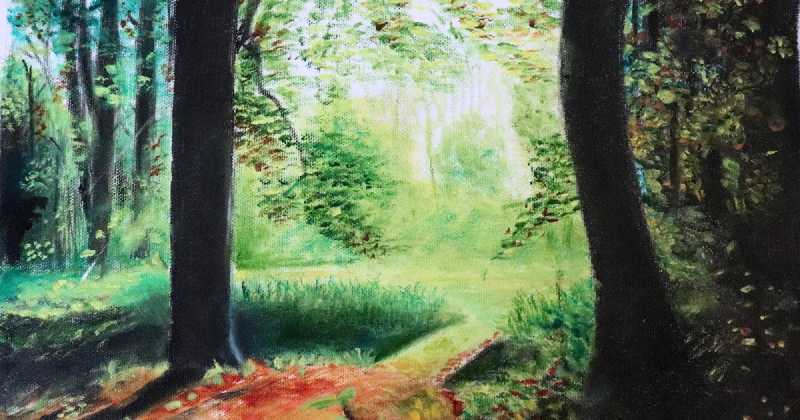 Landscape Forest Oil Painting 