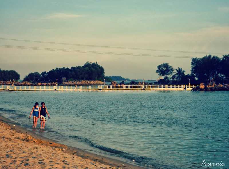 Landscapes At The Beach