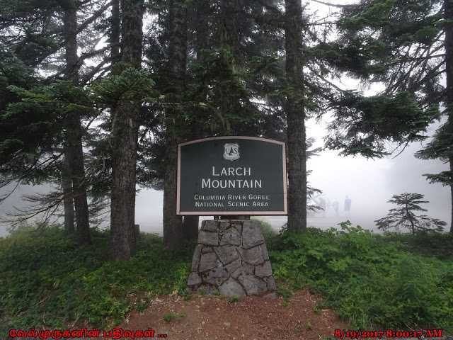 Larch Mountain Crater Hike