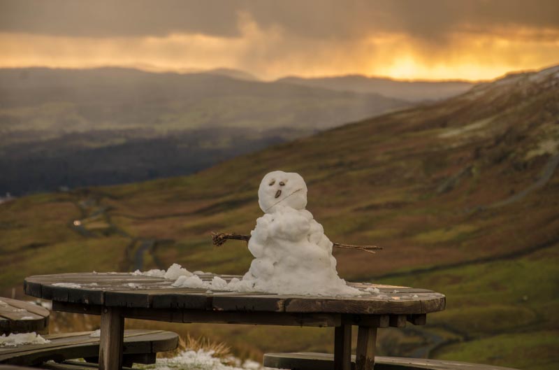 Last Snowman Standing